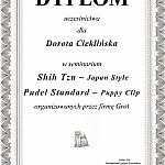 dyplom-shihtzu