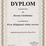 dyplom-west