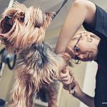 piesczoch-groomer-07