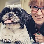 piesczoch-groomer-33