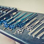 piesczoch-groomer-34